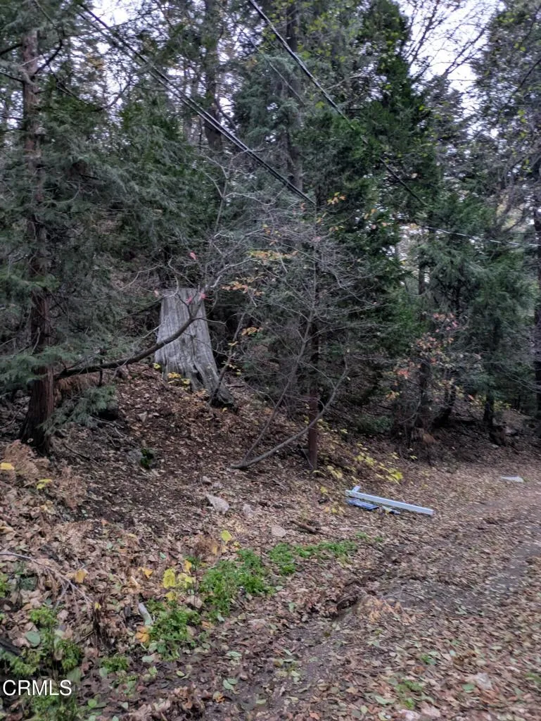 Fleming Creek Lake Arrowhead, CA 92352