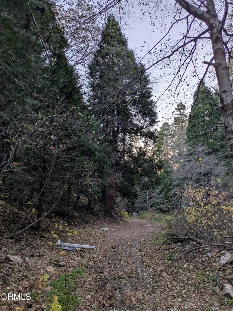 Fleming Creek Lake Arrowhead, CA 92352