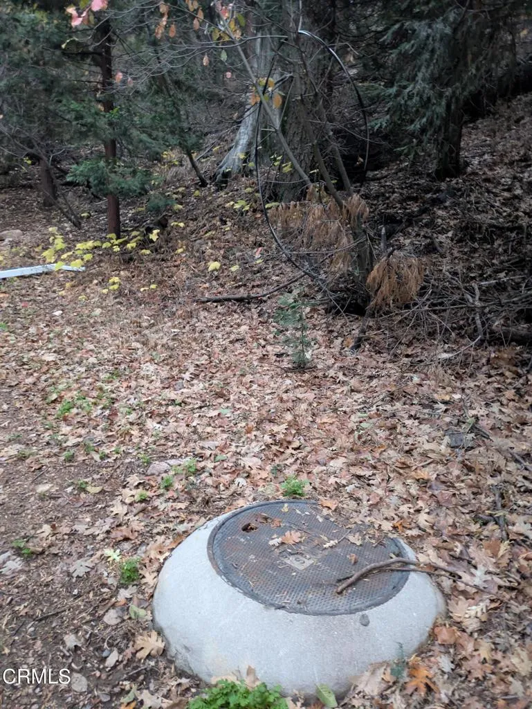 Fleming Creek Lake Arrowhead, CA 92352
