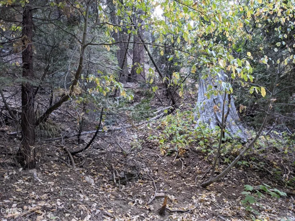 Fleming Creek Lake Arrowhead, CA 92352