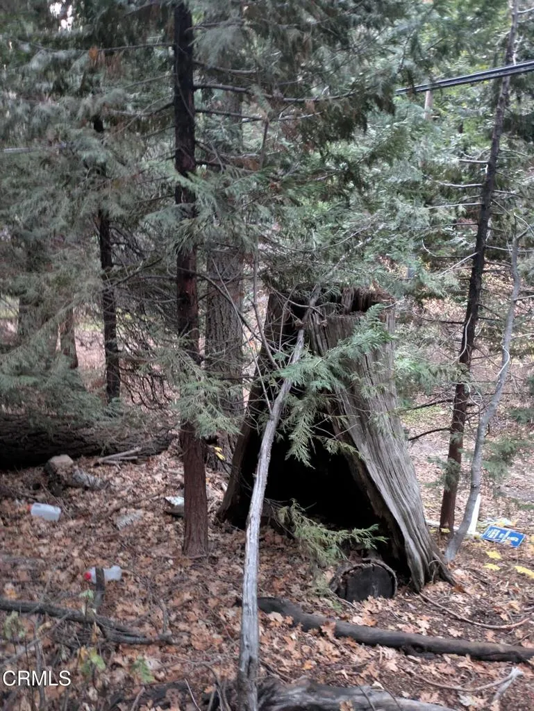 Fleming Creek Lake Arrowhead, CA 92352