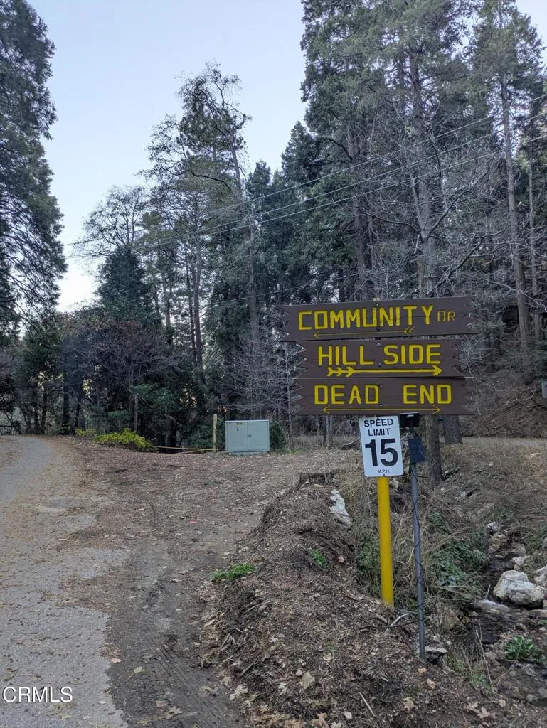 Fleming Creek Lake Arrowhead, CA 92352
