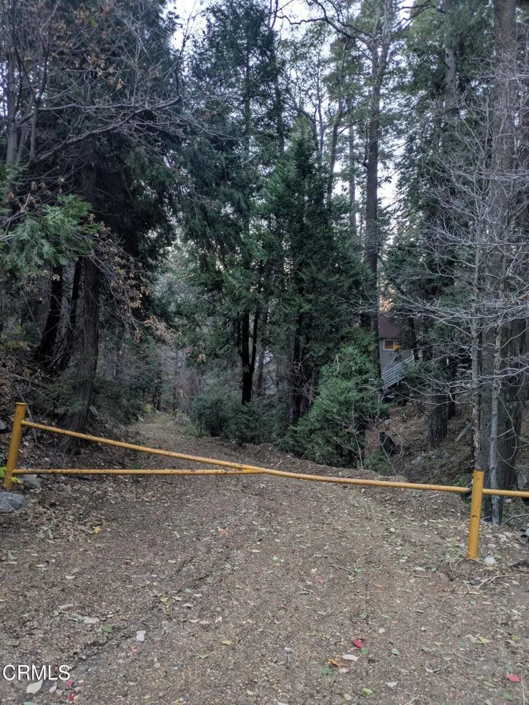 Fleming Creek Lake Arrowhead, CA 92352