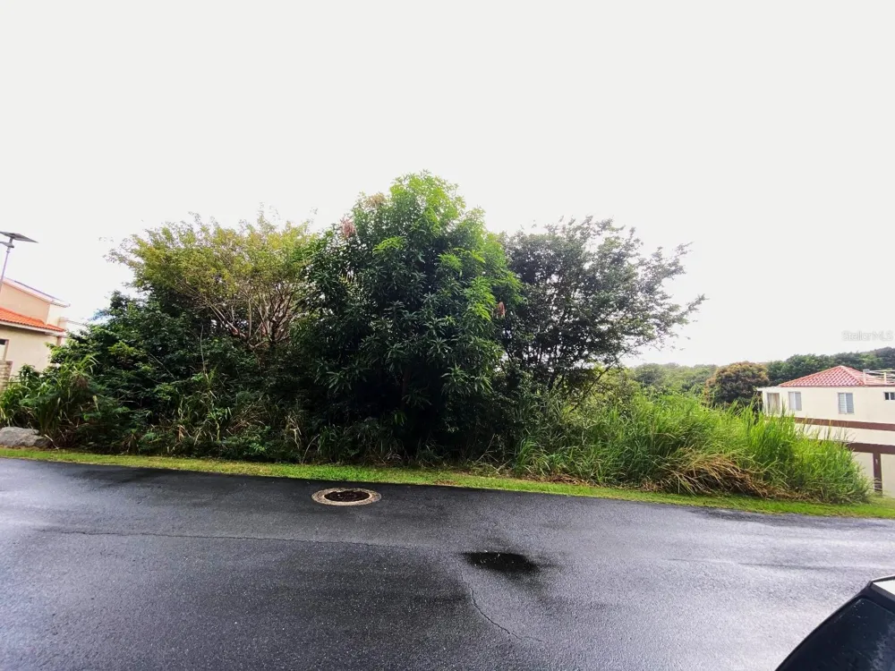 39 COCOLOBA #39 Humacao, PR 00791