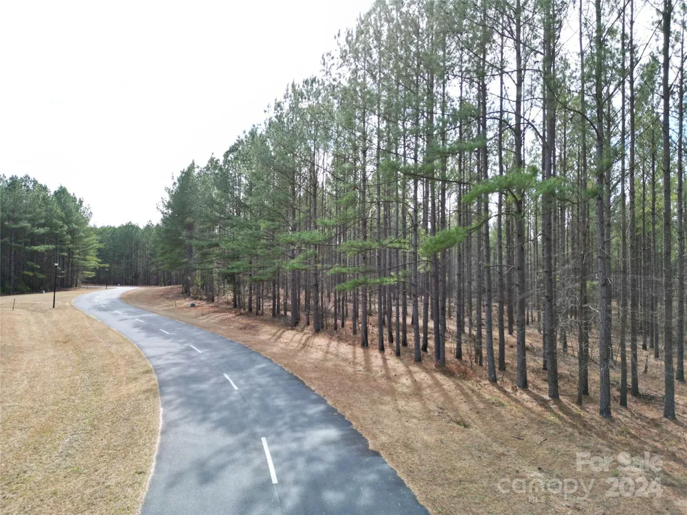 TBD Spencer Pointe Road #Lot 21A Lilesville, NC 28091
