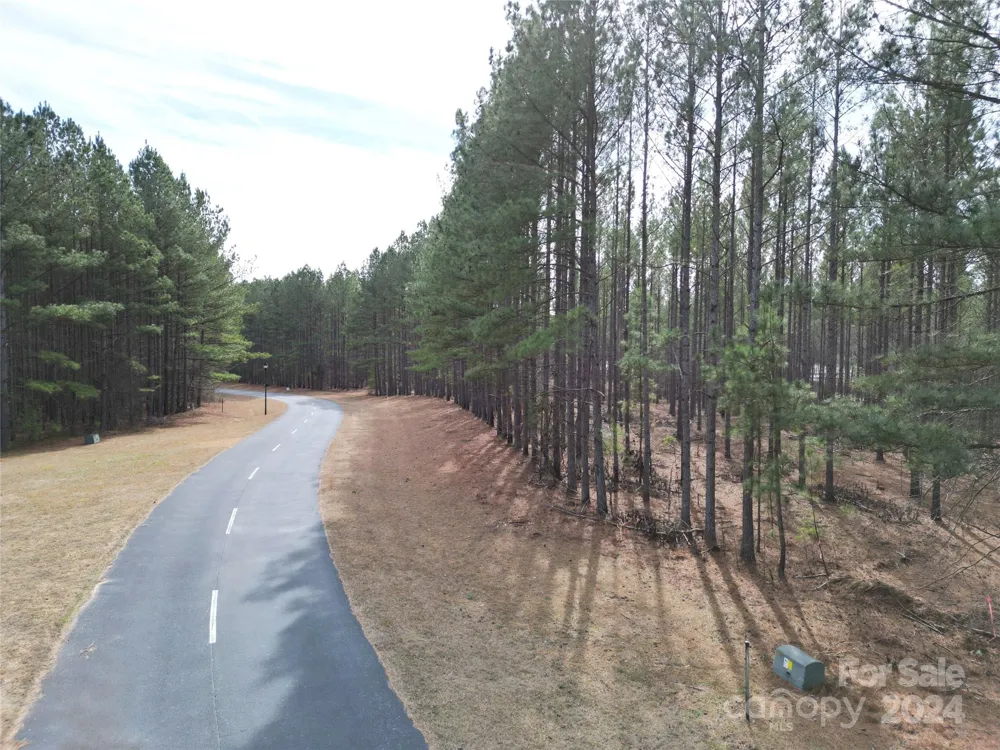 TBD Spencer Pointe Road #Lot 20C Lilesville, NC 28091