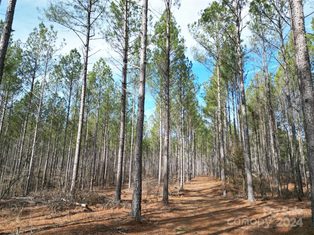 TBD Spencer Pointe Road #Lot 20C Lilesville, NC 28091