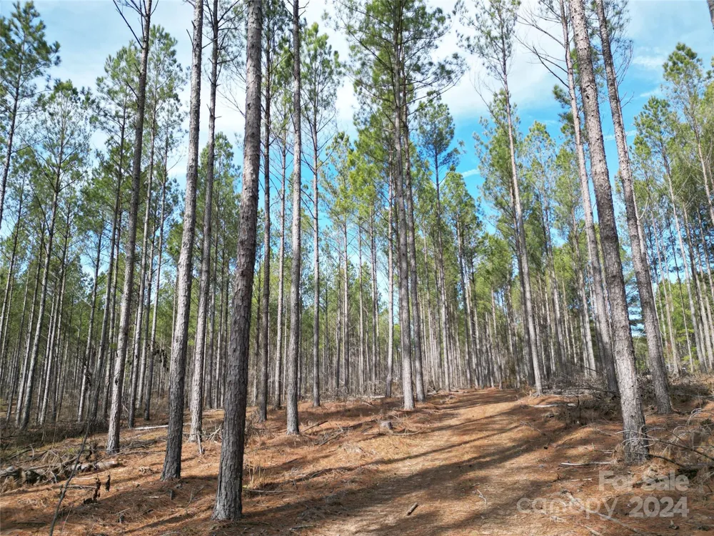 TBD Spencer Pointe Road #Lot 20C Lilesville, NC 28091