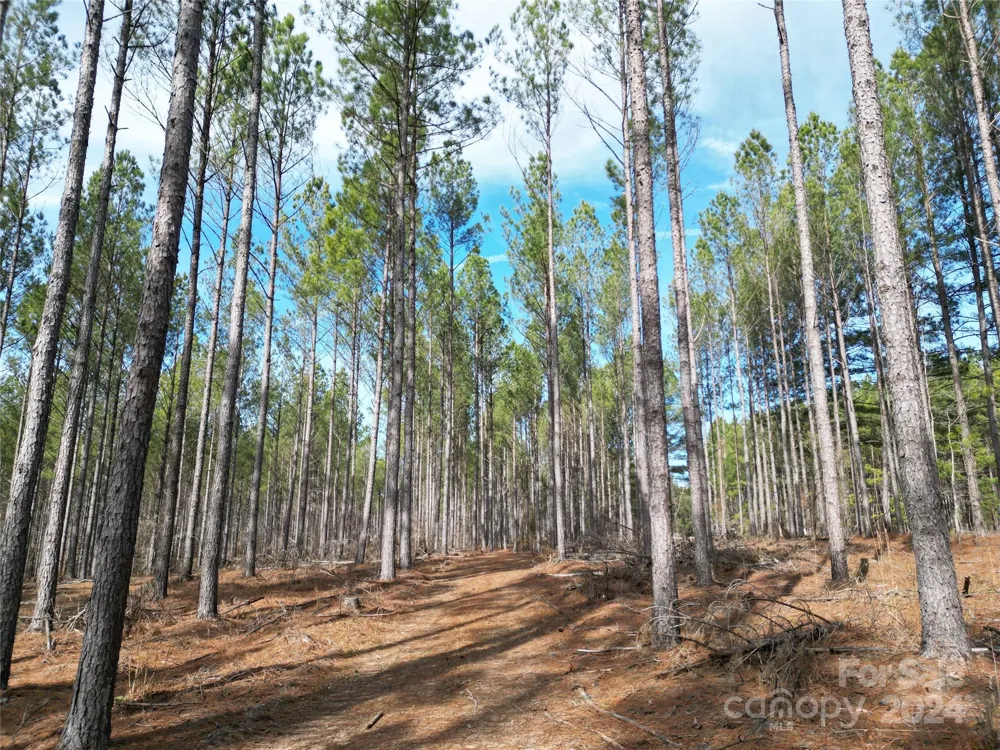 TBD Spencer Pointe Road #Lot 20C Lilesville, NC 28091