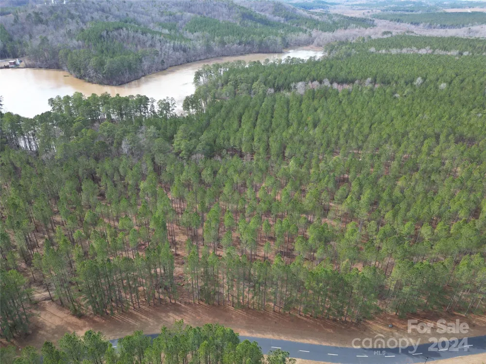 TBD Spencer Pointe Road #Lot 20C Lilesville, NC 28091