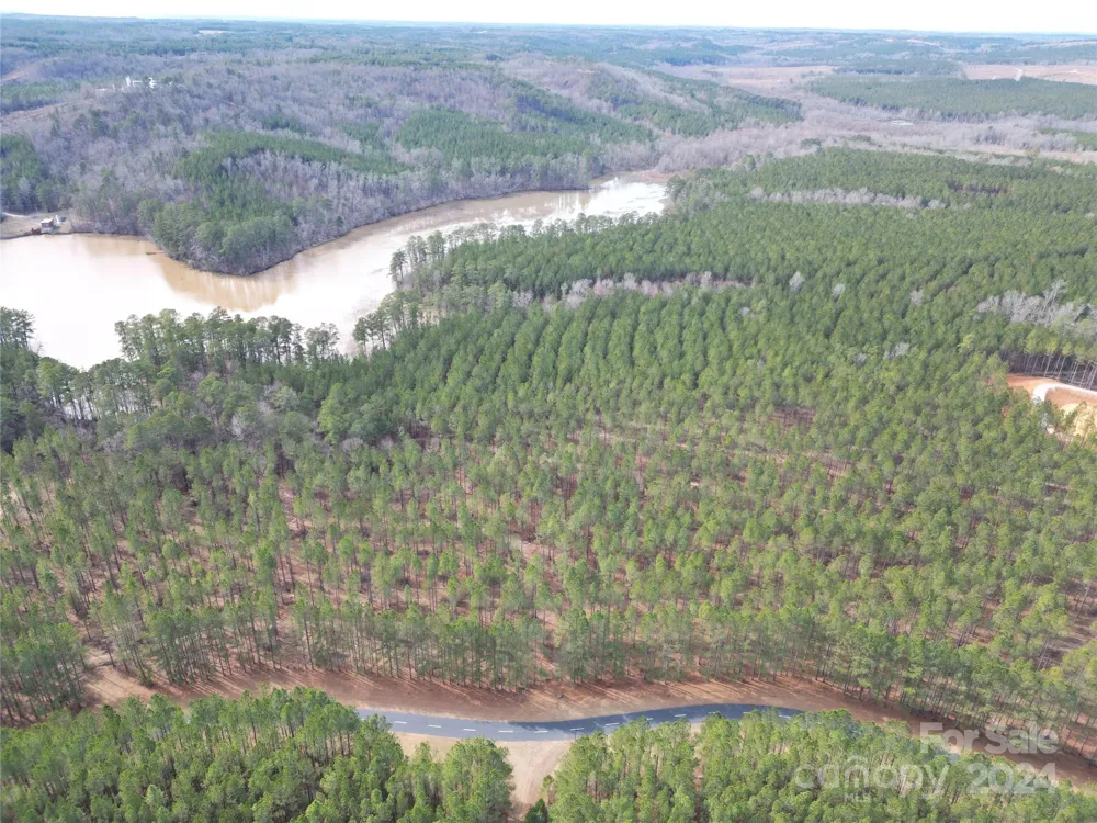 TBD Spencer Pointe Road #Lot 20C Lilesville, NC 28091