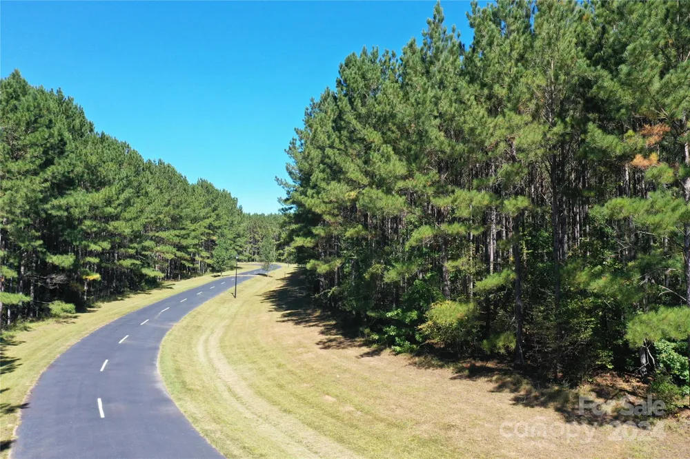 TBD Spencer Pointe Road #Lot 20C Lilesville, NC 28091