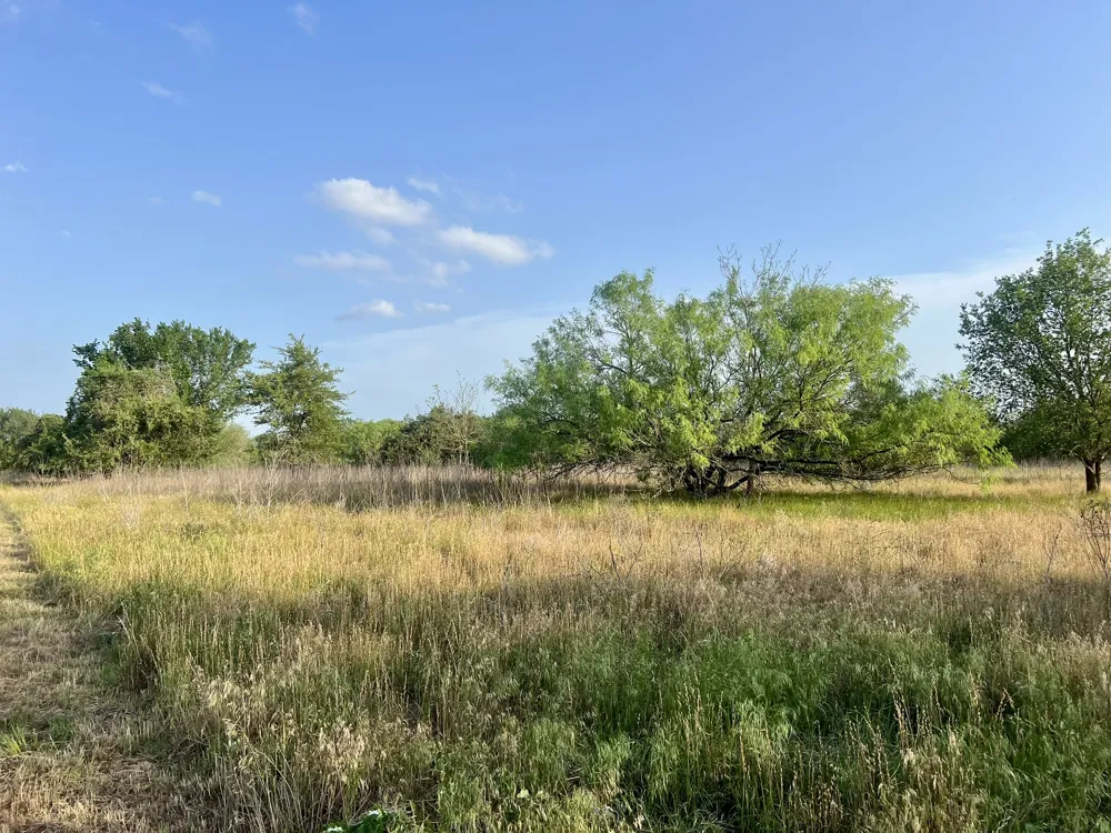 Hidden Shores Road Smithville, TX 78957