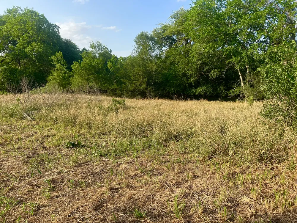 Hidden Shores Road Smithville, TX 78957