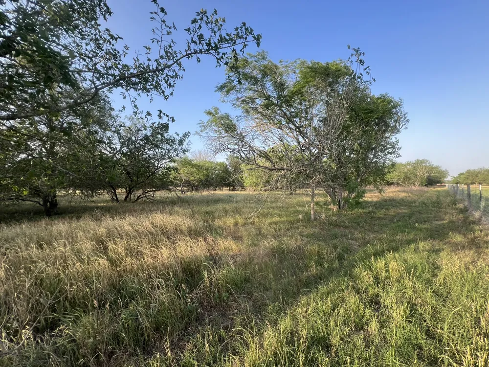 Hidden Shores Road Smithville, TX 78957
