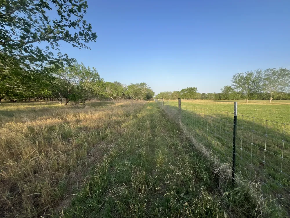 Hidden Shores Road Smithville, TX 78957