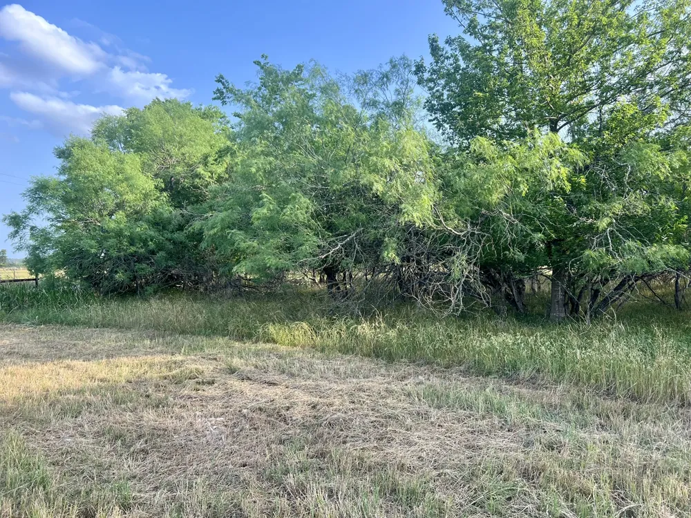 Hidden Shores Road Smithville, TX 78957