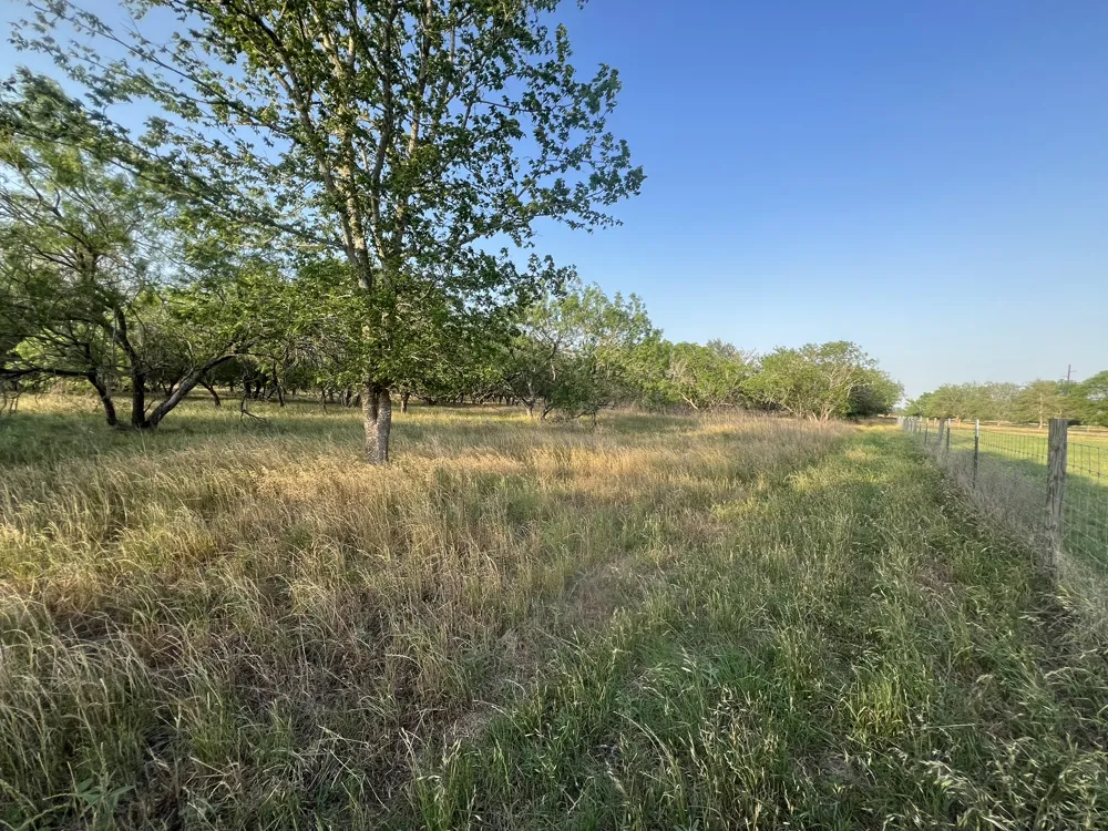 Hidden Shores Road Smithville, TX 78957