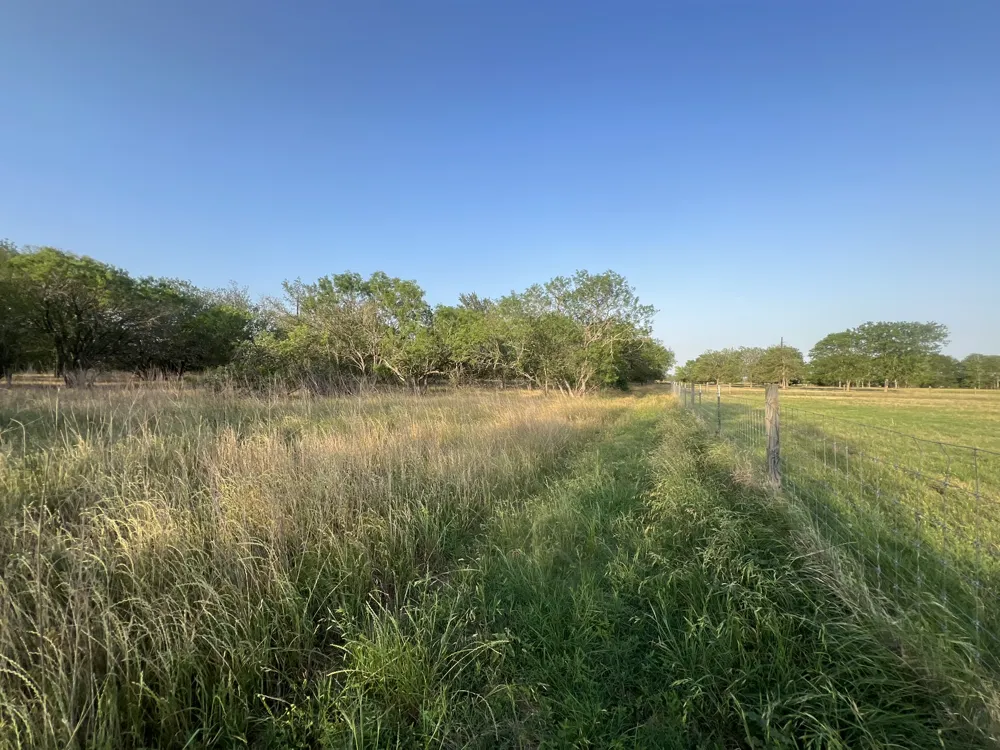 Hidden Shores Road Smithville, TX 78957