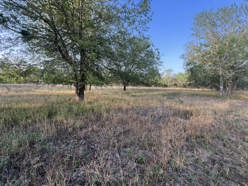 Hidden Shores Road Smithville, TX 78957