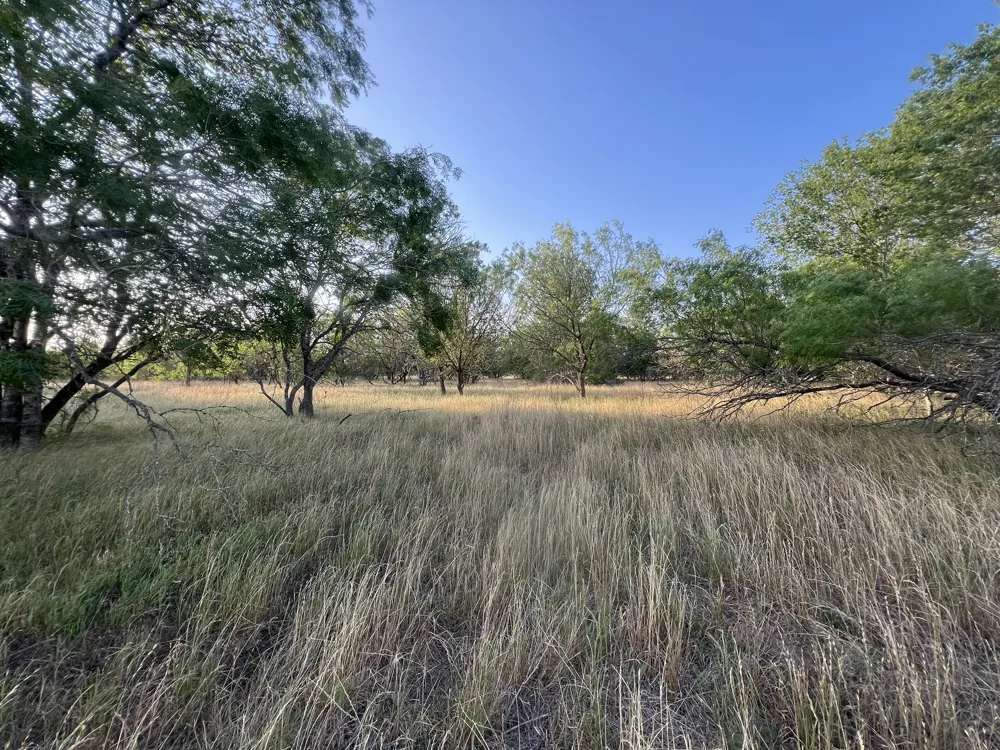 Hidden Shores Road Smithville, TX 78957