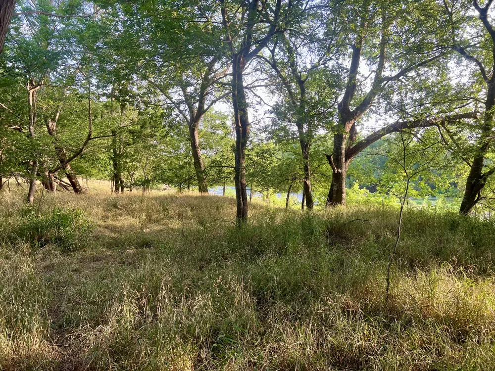 Hidden Shores Road Smithville, TX 78957