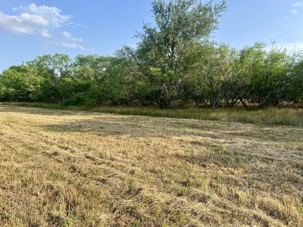 Hidden Shores Road Smithville, TX 78957