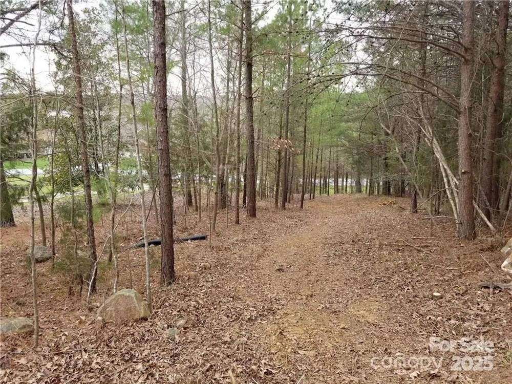 176 Mallard Drive Badin Lake, NC 28127