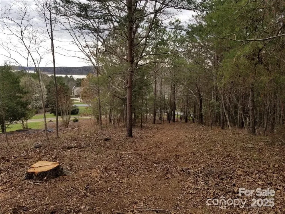 176 Mallard Drive Badin Lake, NC 28127