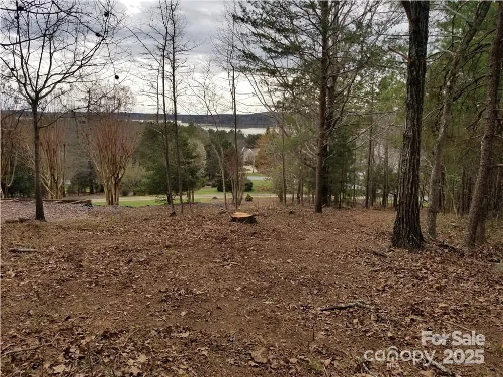 176 Mallard Drive Badin Lake, NC 28127