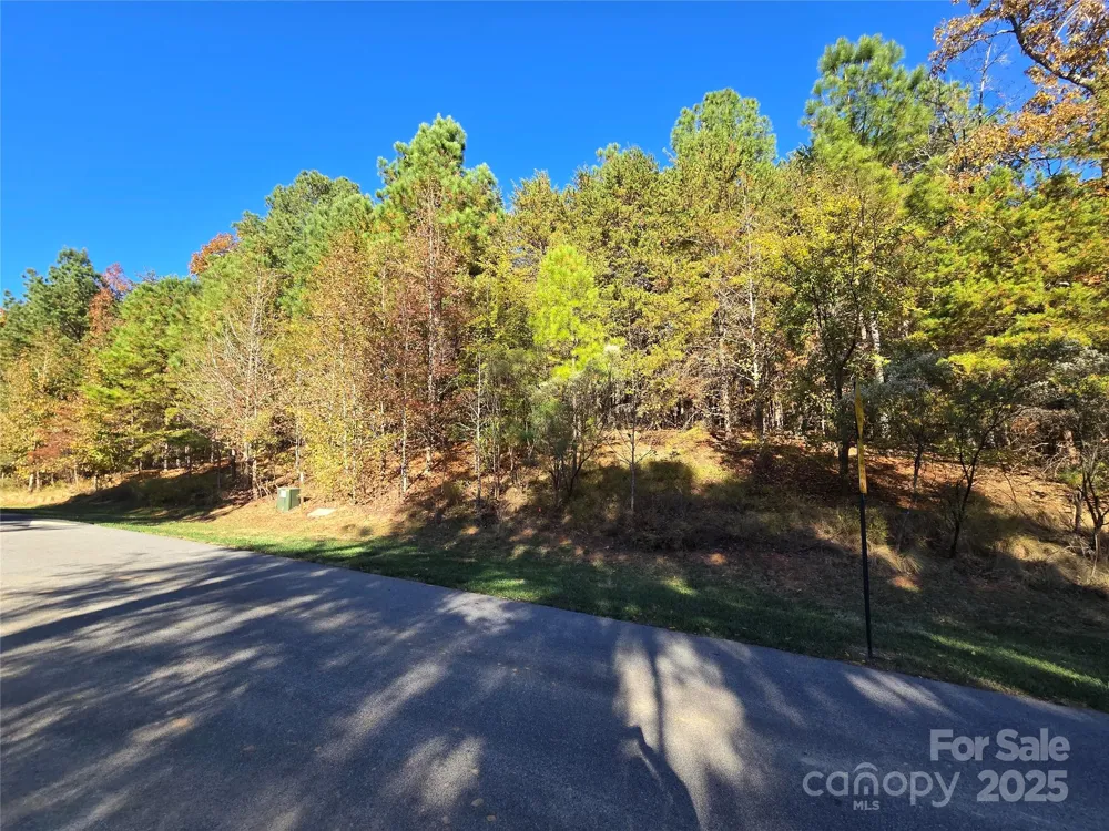 176 Mallard Drive Badin Lake, NC 28127