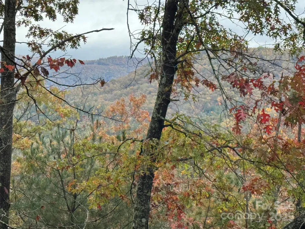 00 King Road Pisgah Forest, NC 28768