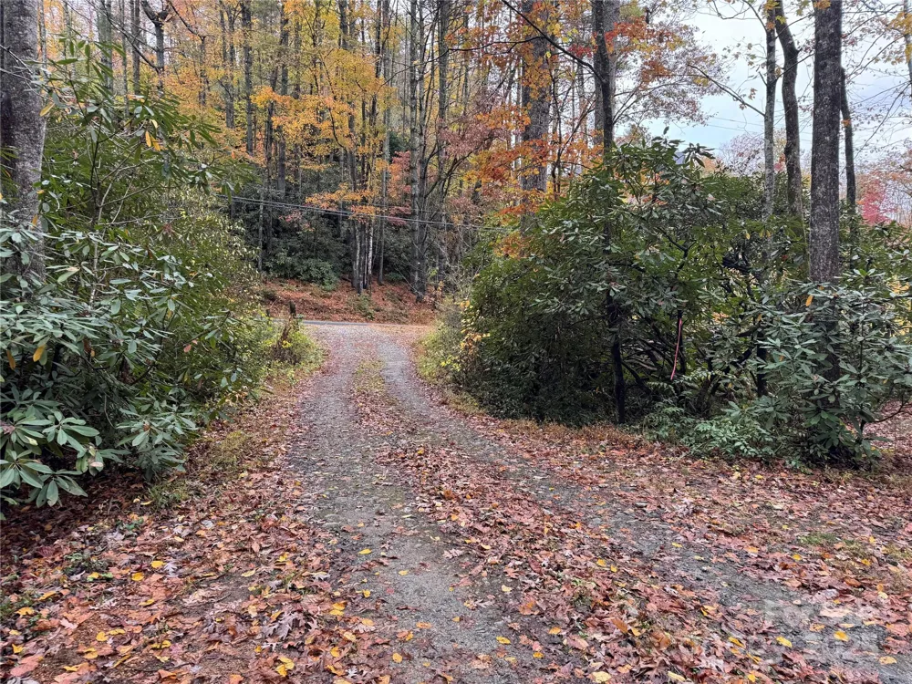00 King Road Pisgah Forest, NC 28768
