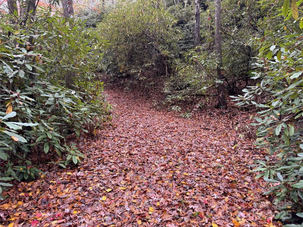 00 King Road Pisgah Forest, NC 28768