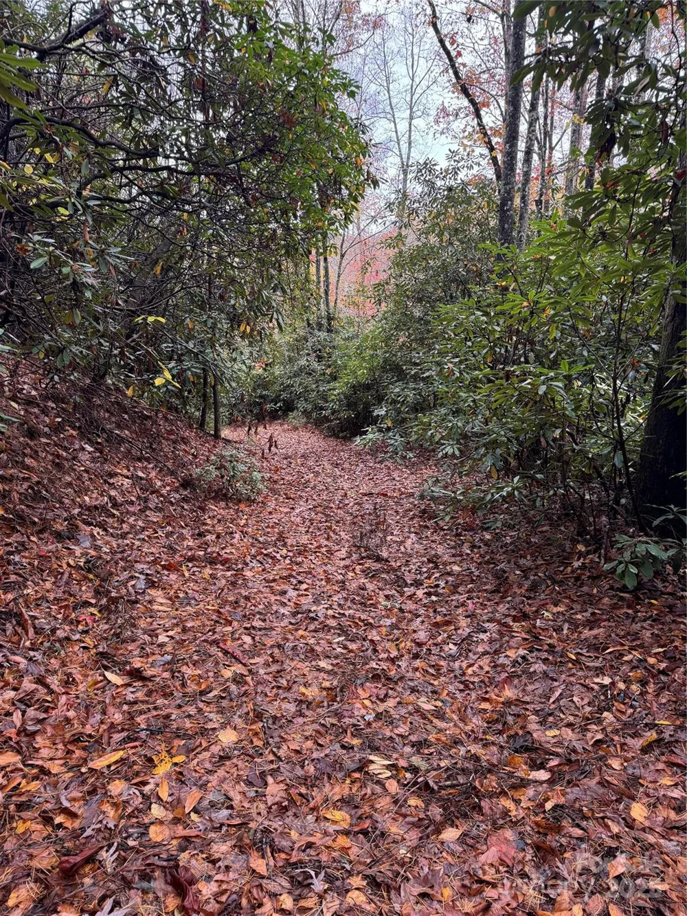 00 King Road Pisgah Forest, NC 28768