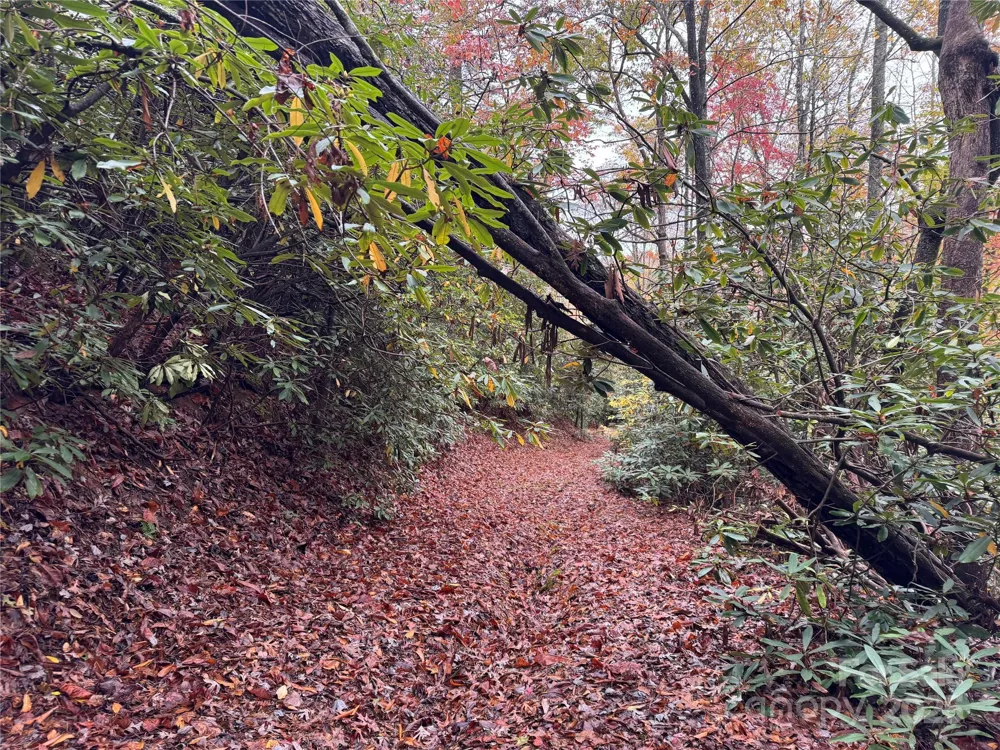 00 King Road Pisgah Forest, NC 28768