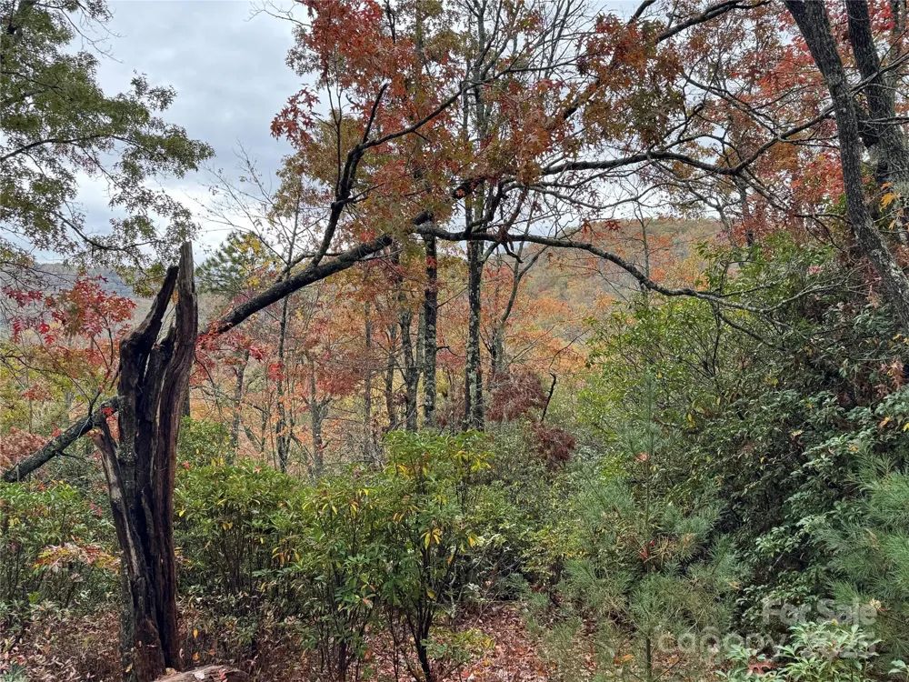 00 King Road Pisgah Forest, NC 28768