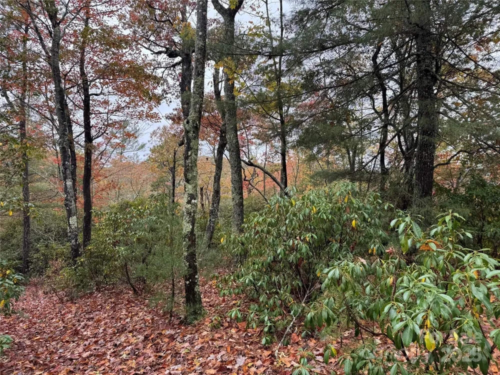 00 King Road Pisgah Forest, NC 28768