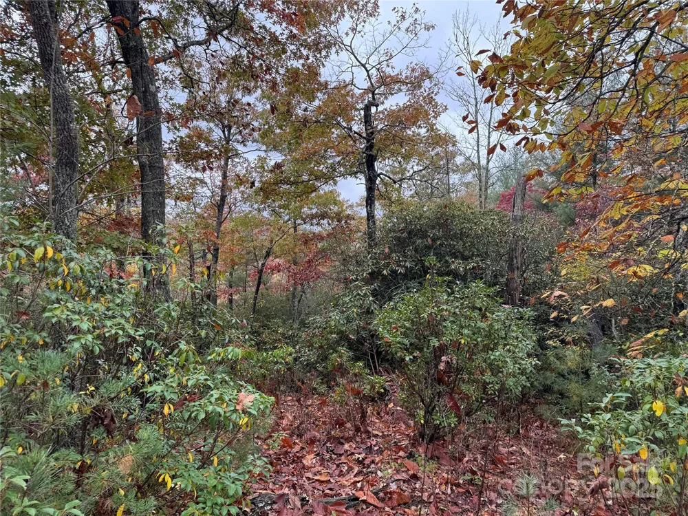 00 King Road Pisgah Forest, NC 28768