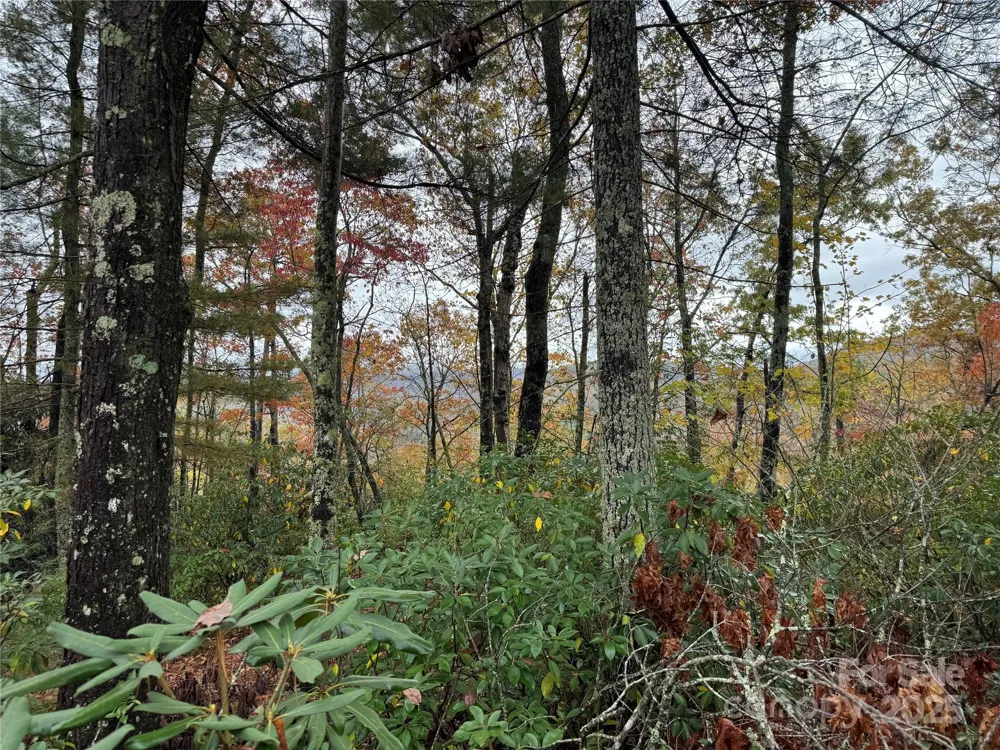 00 King Road Pisgah Forest, NC 28768