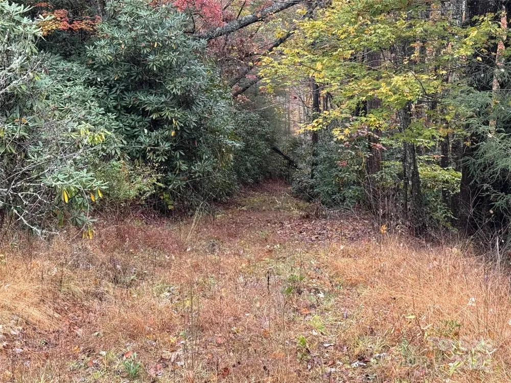 00 King Road Pisgah Forest, NC 28768