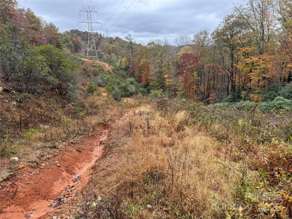 00 King Road Pisgah Forest, NC 28768