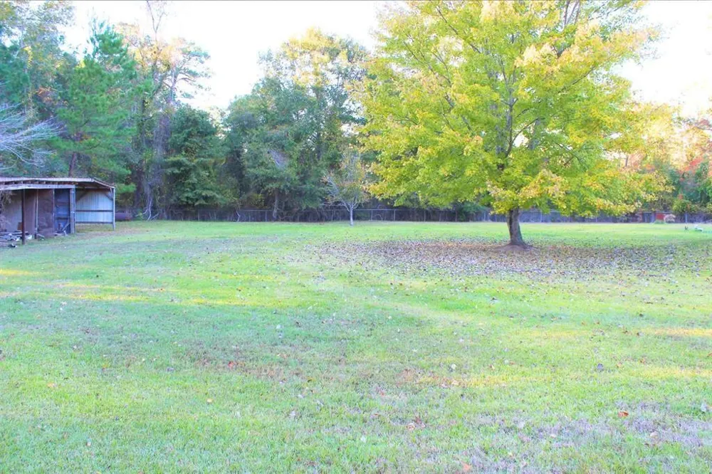 1493 Mollywood Road Zavalla, TX 75980