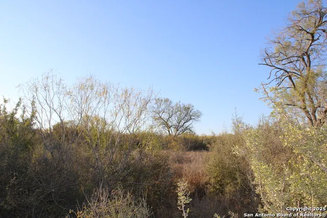 0000 County Road 339 Jourdanton, TX 78026