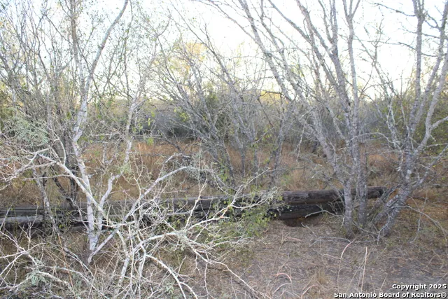 0000 County Road 339 Jourdanton, TX 78026