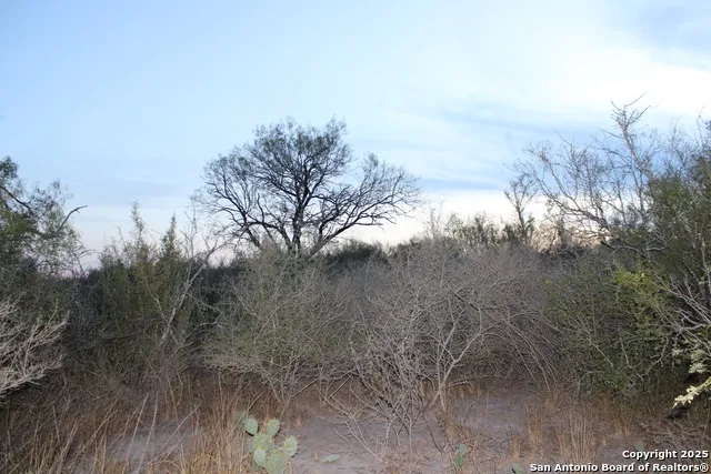 0000 County Road 339 Jourdanton, TX 78026