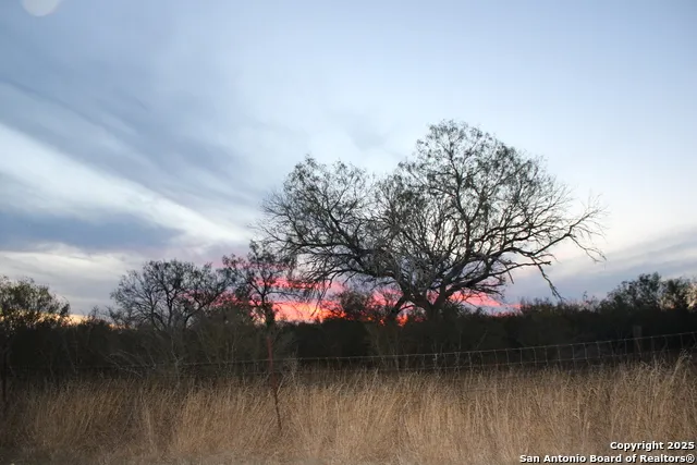 0000 County Road 339 Jourdanton, TX 78026
