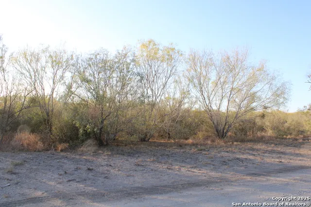 0000 County Road 339 Jourdanton, TX 78026