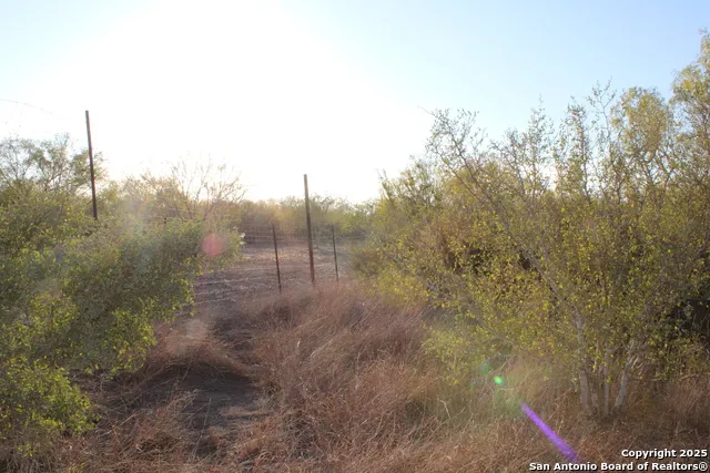 0000 County Road 339 Jourdanton, TX 78026