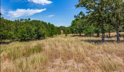 271 Creek Meadow Court